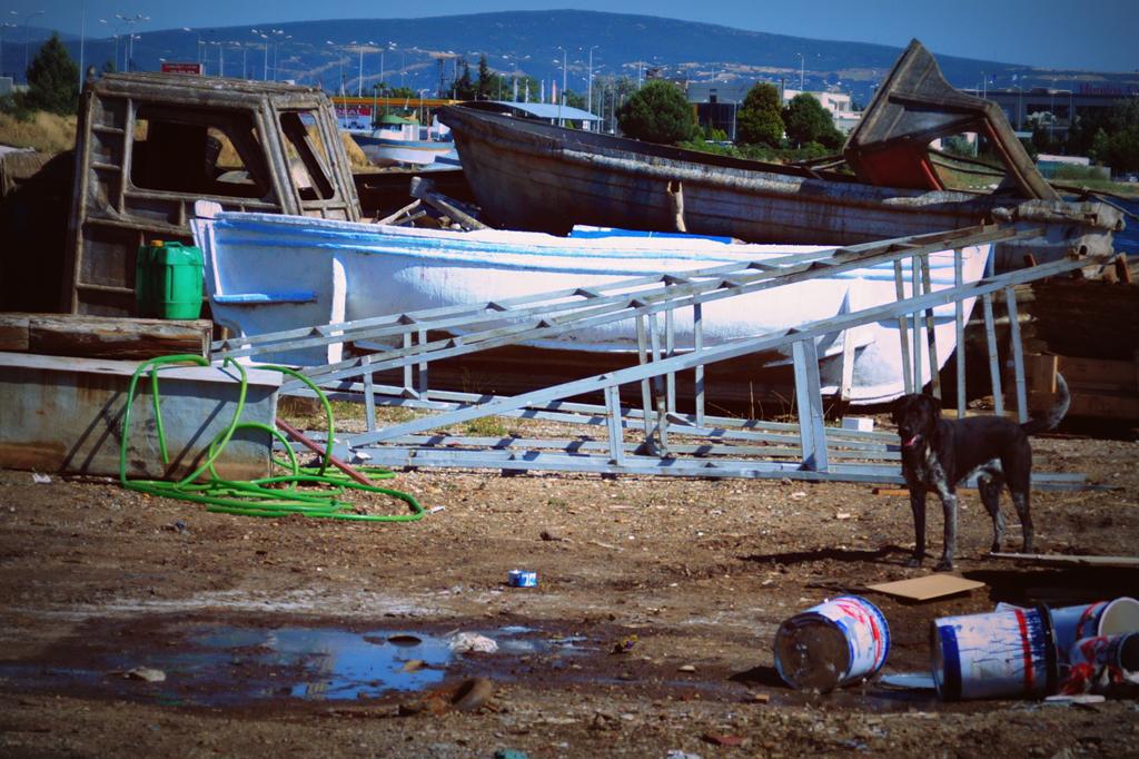 dsc09568.jpg dsc09568.jpg