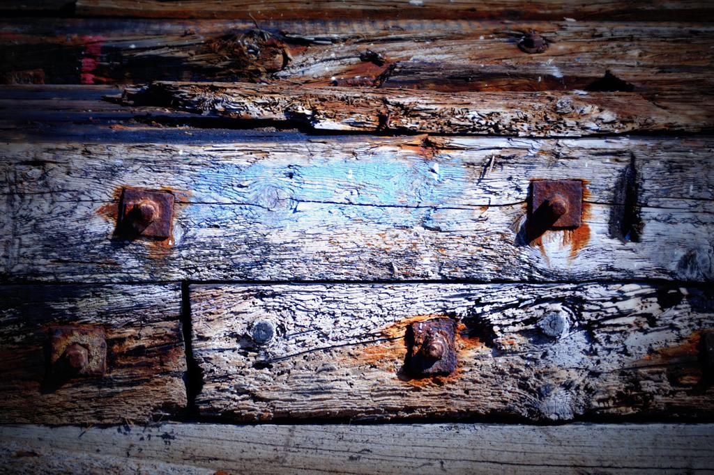 dsc09572.jpg dsc09572.jpg