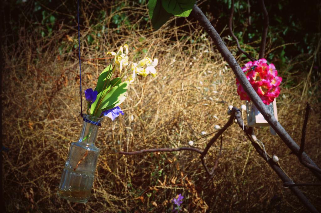 dsc09611.jpg dsc09611.jpg