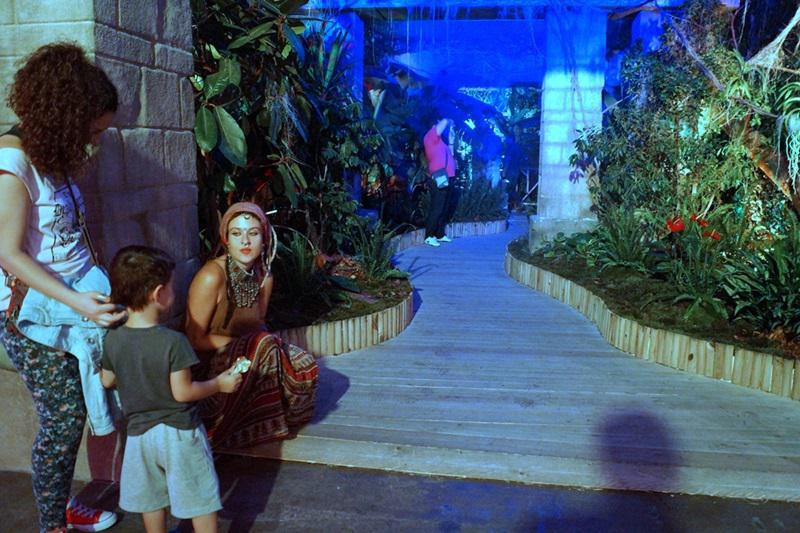 dsc097013.jpg dsc097013.jpg