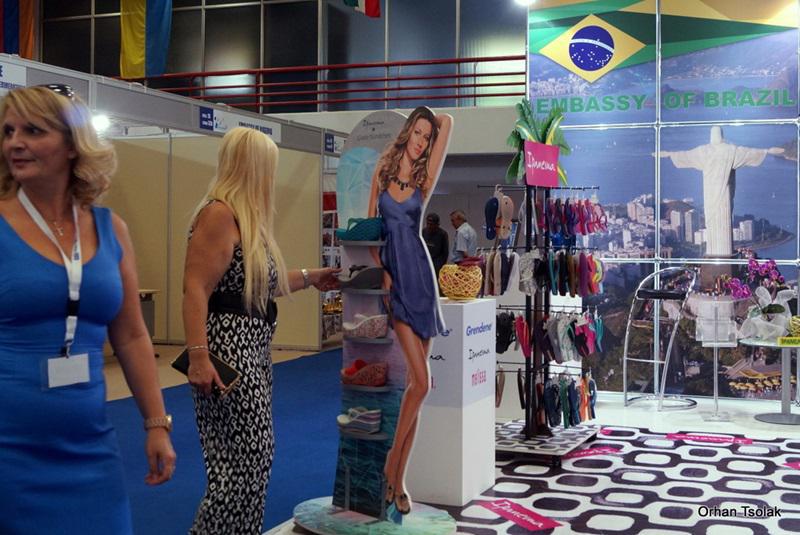 dsc09831.jpg dsc09831.jpg