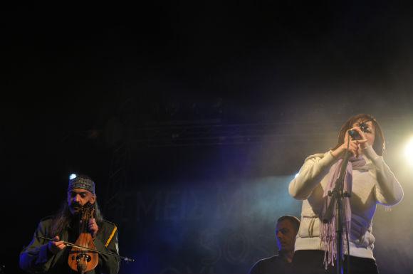 dsc_0176.jpg dsc_0176.jpg