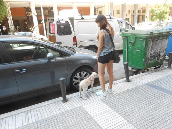 dscn3307.jpg dscn3307.jpg