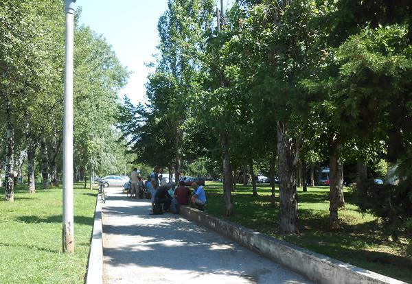 dscn3320.jpg dscn3320.jpg