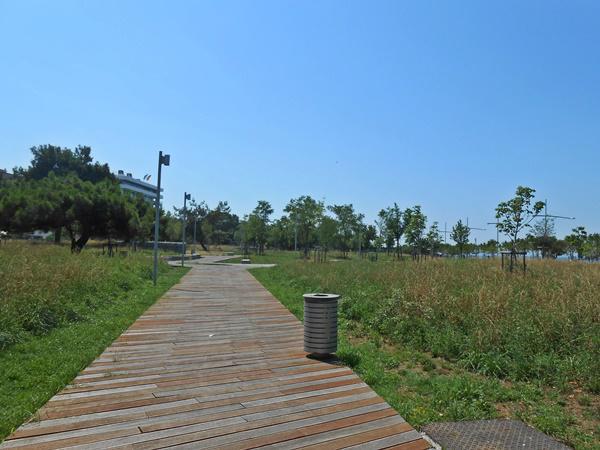 dscn3321.jpg dscn3321.jpg