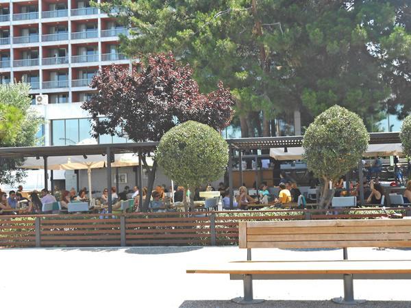 dscn3335.jpg dscn3335.jpg