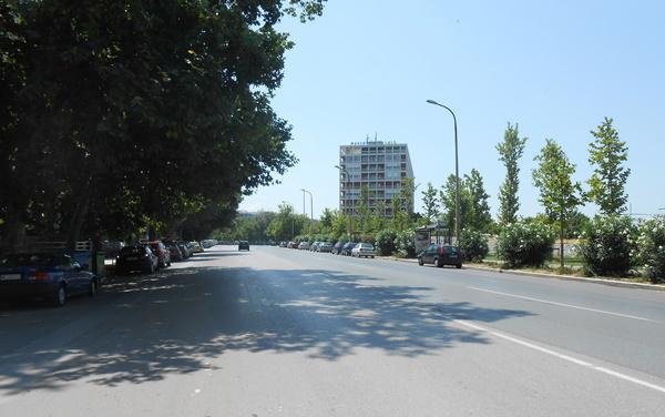 dscn3337.jpg dscn3337.jpg