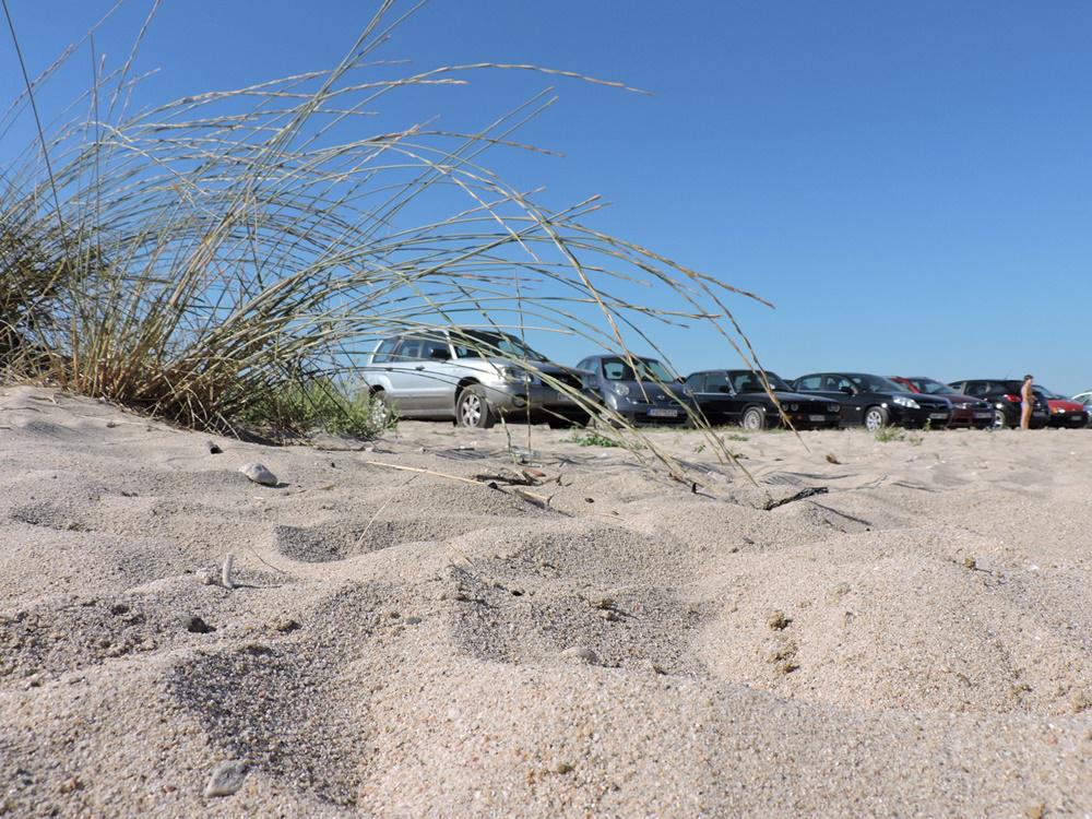 dscn8416.jpg dscn8416.jpg