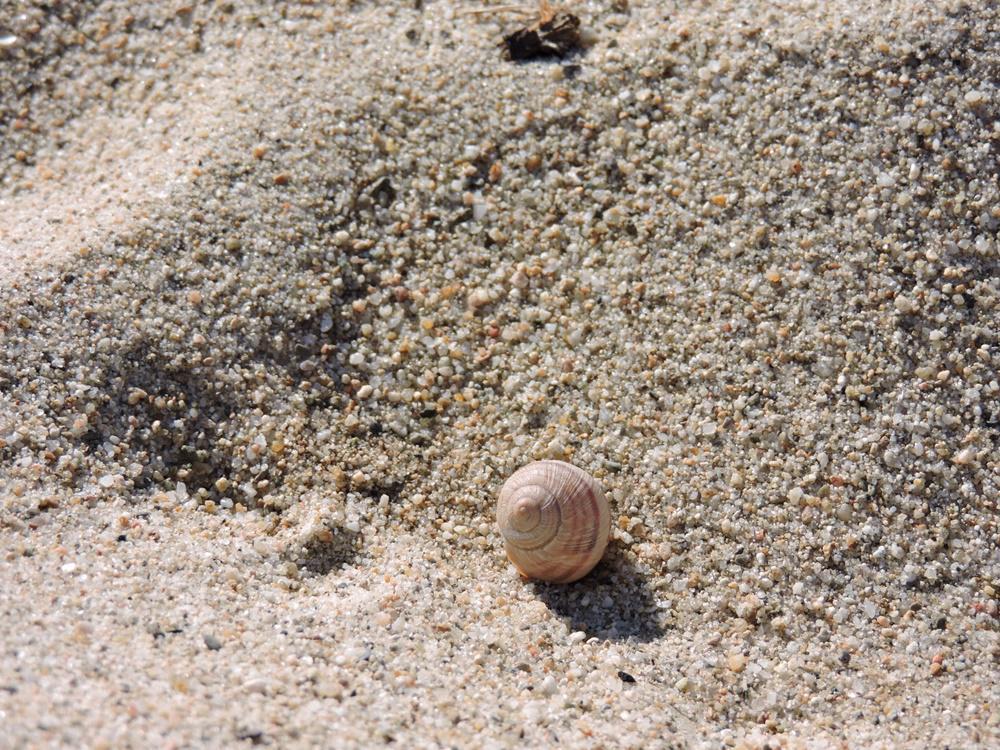 dscn8433.jpg dscn8433.jpg