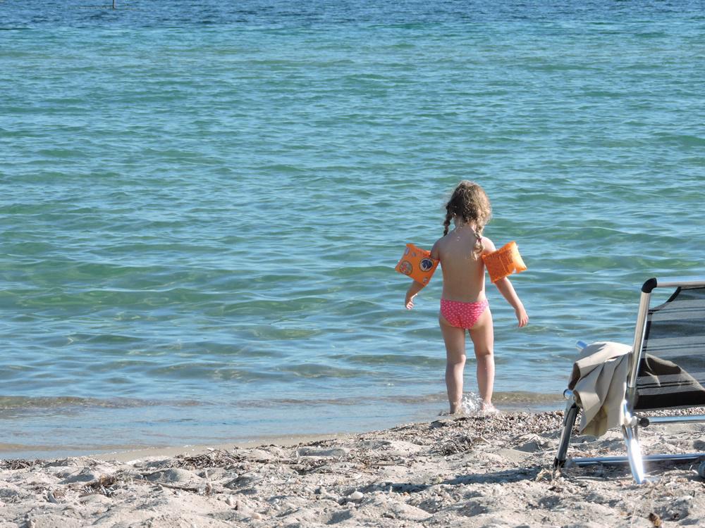 dscn8535.jpg dscn8535.jpg