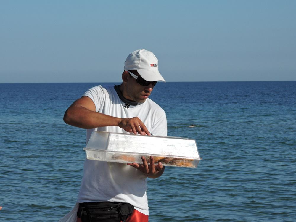 dscn8568.jpg dscn8568.jpg