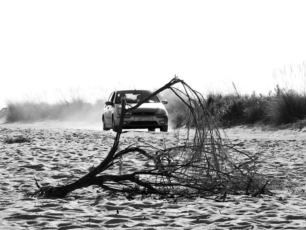 dscn8578.jpg dscn8578.jpg