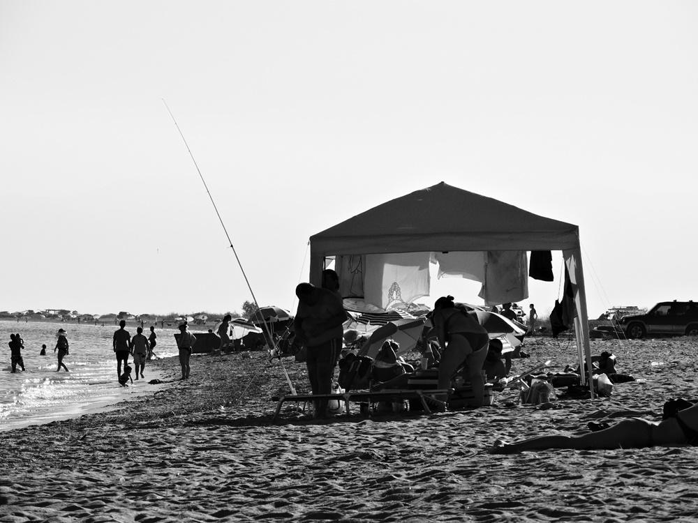 dscn8583.jpg dscn8583.jpg