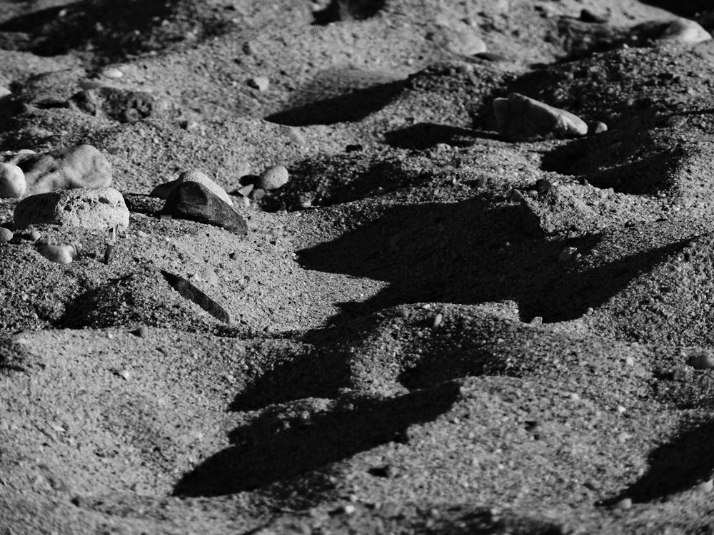 dscn8624.jpg dscn8624.jpg