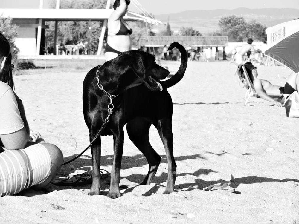 dscn8658.jpg dscn8658.jpg