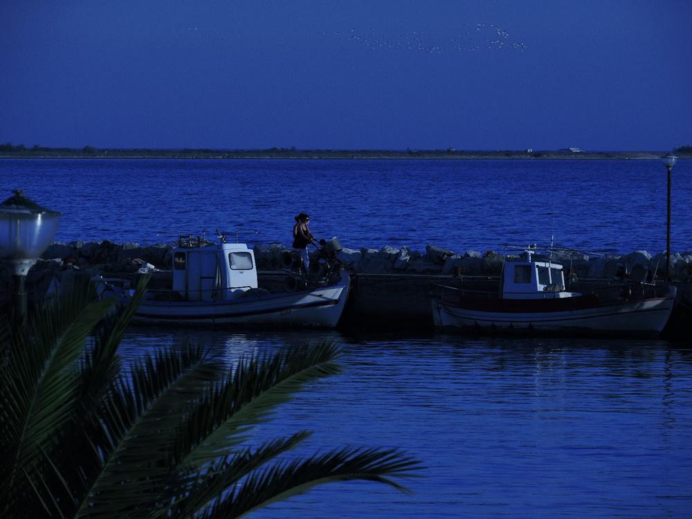 dscn8714.jpg dscn8714.jpg