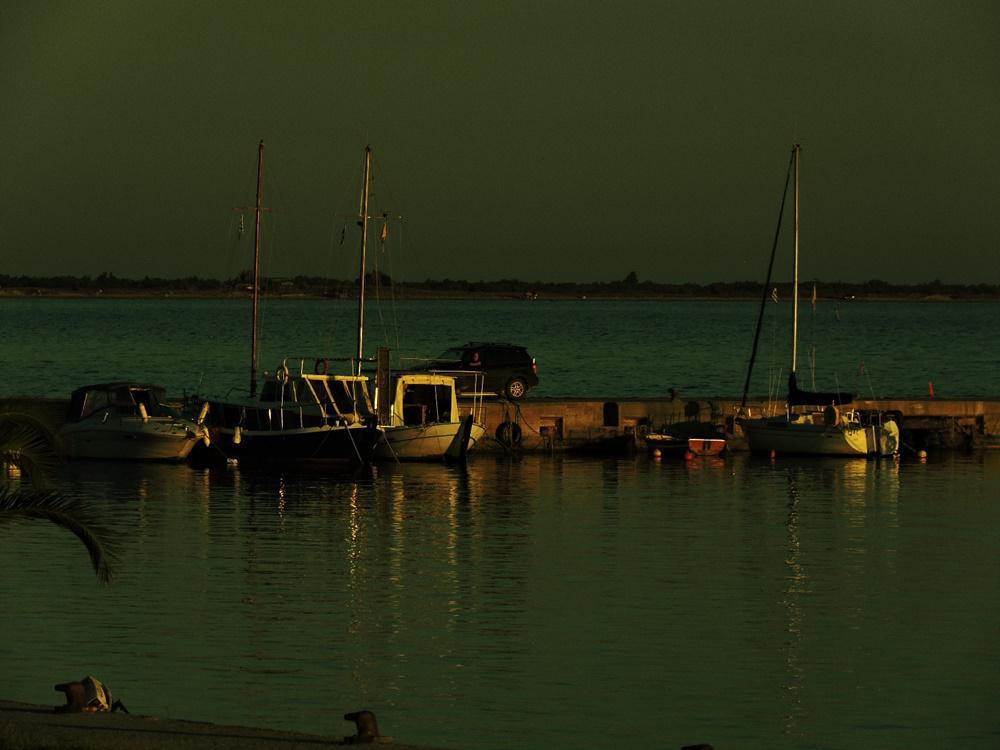 dscn8732.jpg dscn8732.jpg