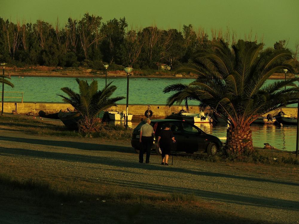 dscn8738.jpg dscn8738.jpg