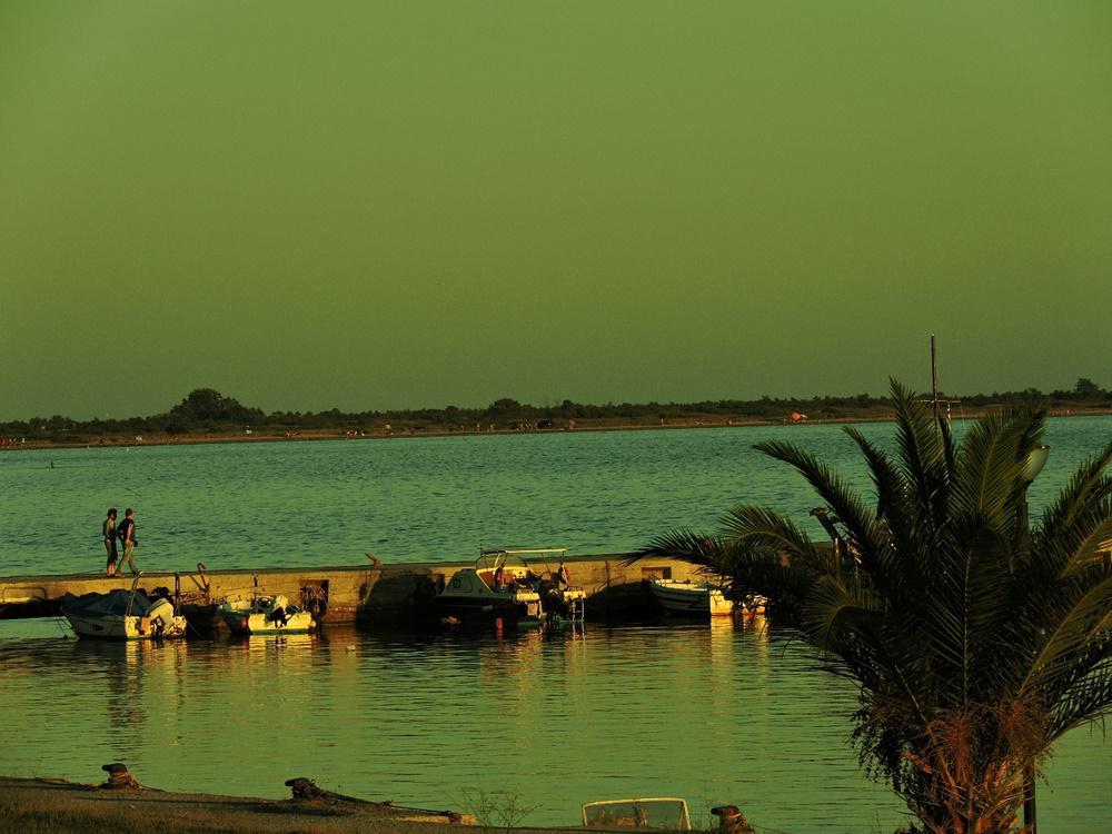 dscn8739.jpg dscn8739.jpg