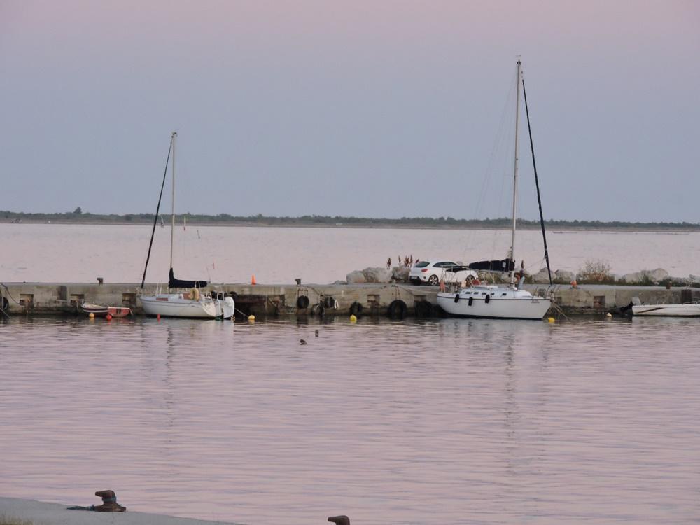 dscn8795.jpg dscn8795.jpg