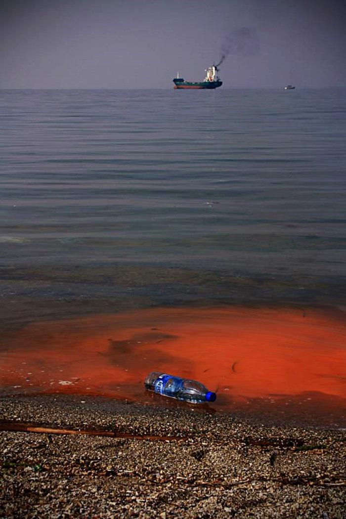 ecothessphotocontest2015winner