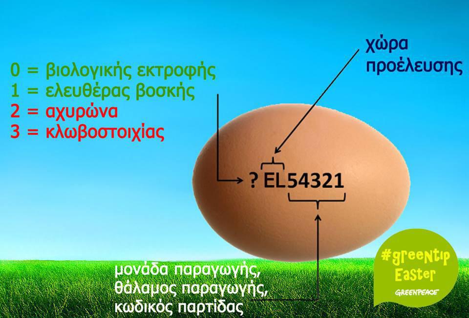 exipno-kolpo-gia-na-xehorizoume-ta-freska-avga-proelefsi