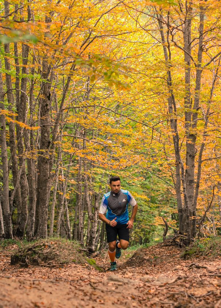 image-3dbf3c06ad10be1cd04a6aa1746b52f4bb0636b83cd7e68dd7fc0e0496d6b155-V