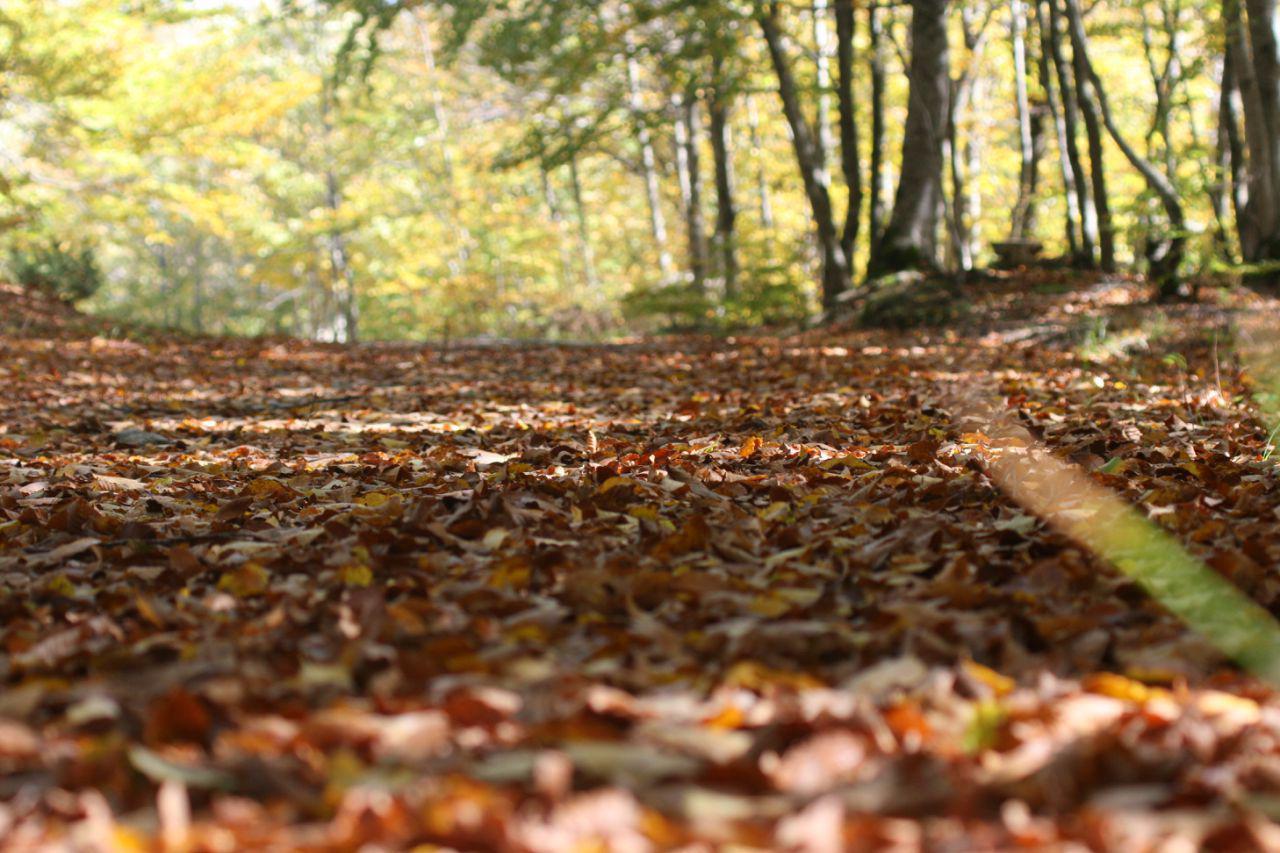 image-82592588085878ce96f463d80463f01fbe99c86134f53566d96cb4945c704a93-V