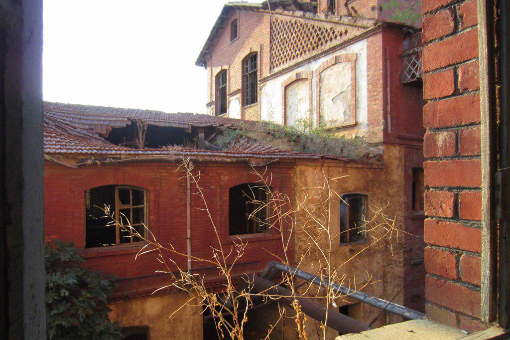 img_0008.jpg img_0008.jpg