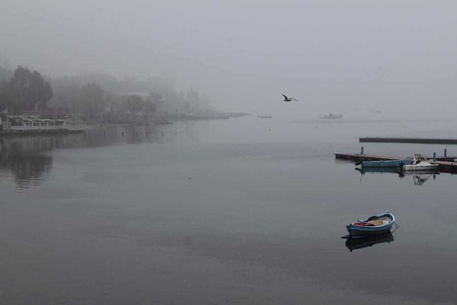 img_0693.jpg img_0693.jpg