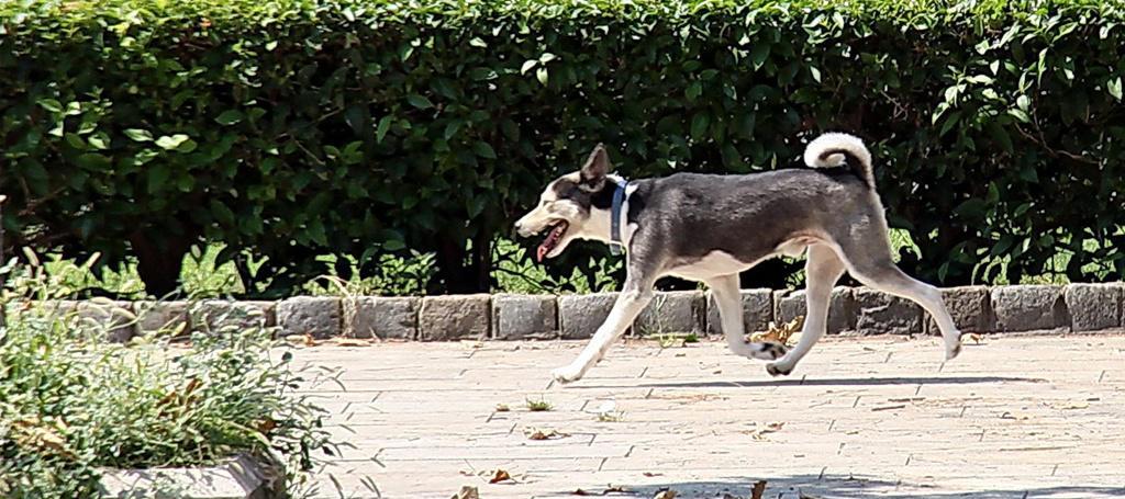 img_1128.jpg img_1128.jpg