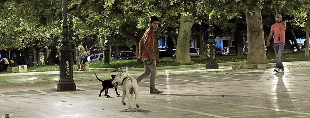 img_1522.jpg img_1522.jpg