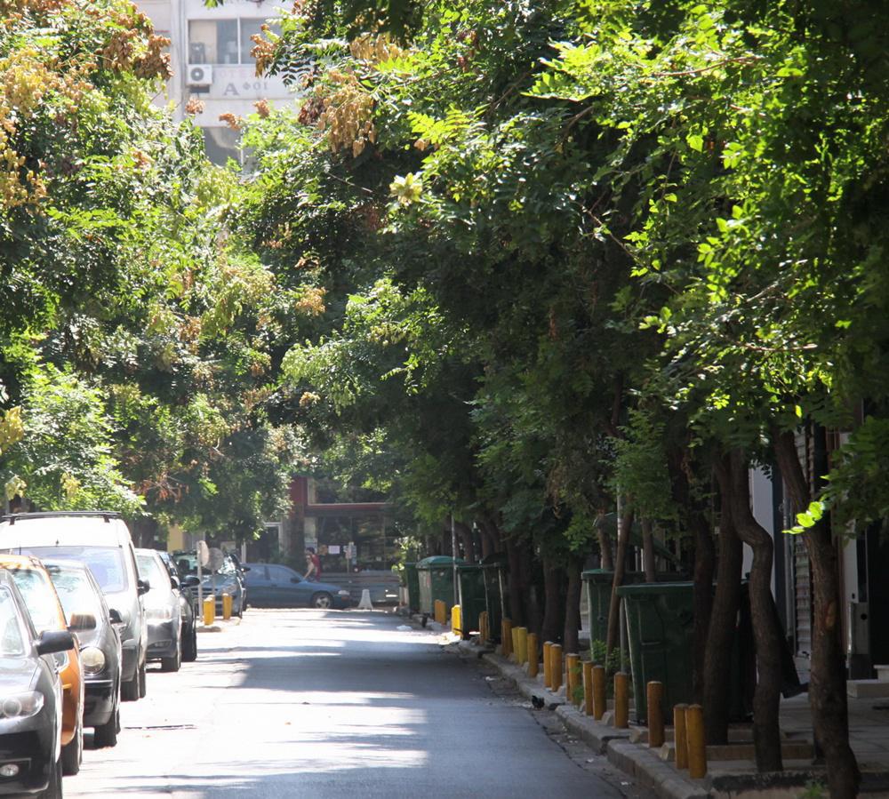 img_2064.jpg img_2064.jpg