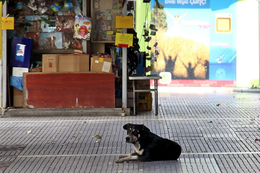 img_2436.jpg img_2436.jpg