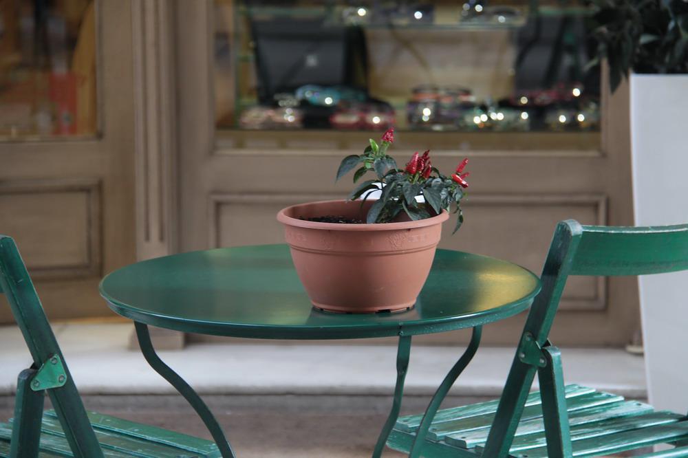 img_2670_resize.jpg img_2670_resize.jpg