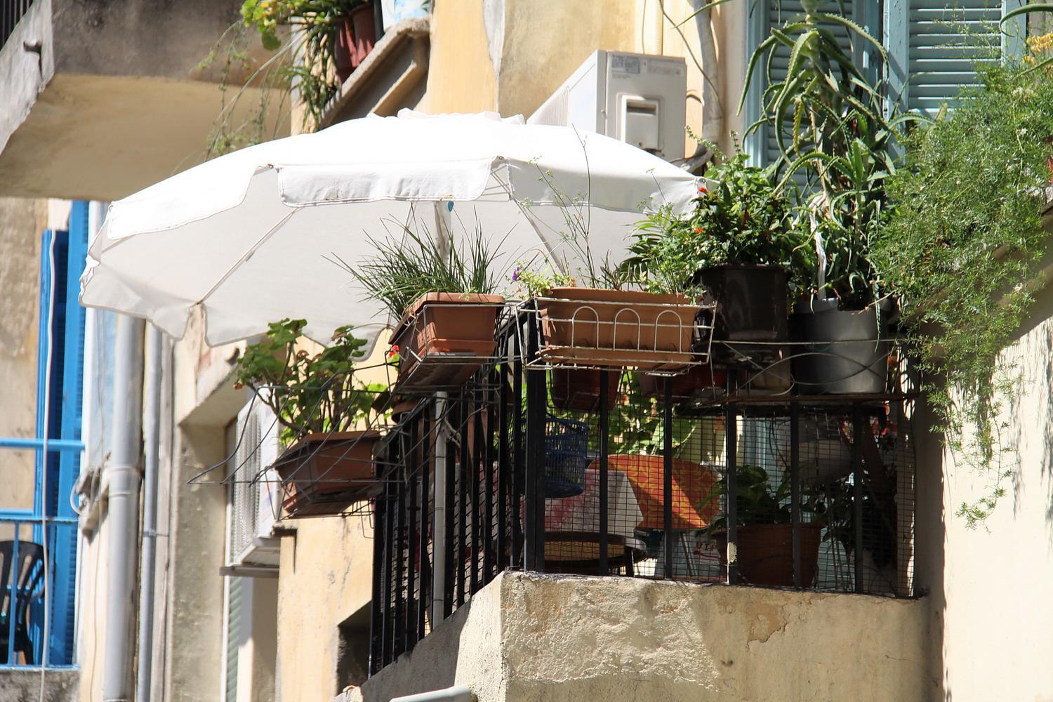 img_3367.jpg img_3367.jpg