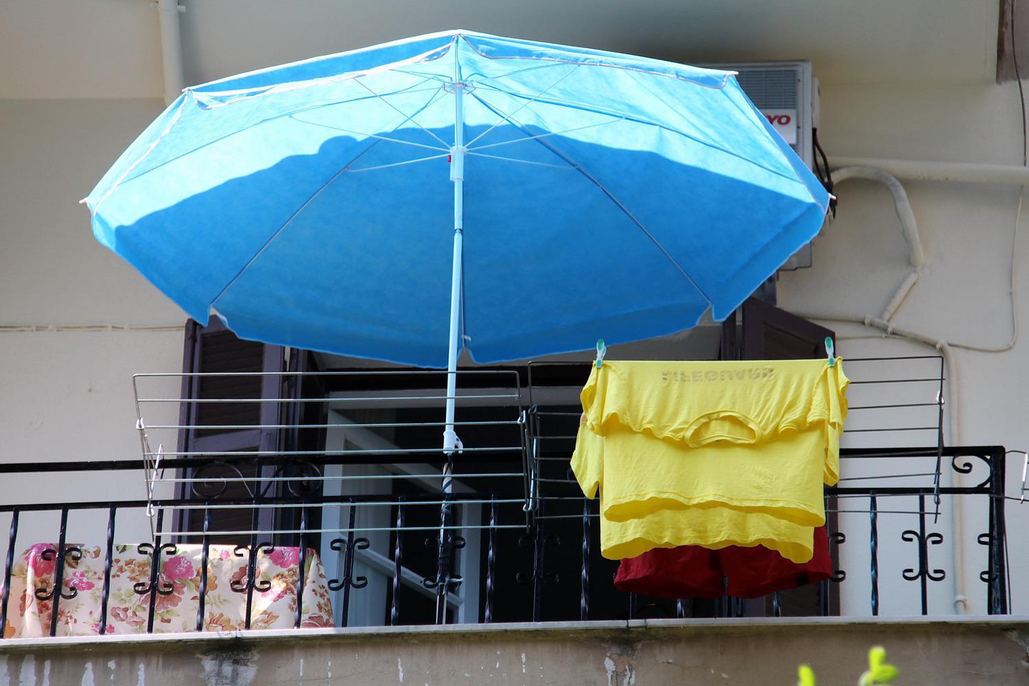 img_3383.jpg img_3383.jpg