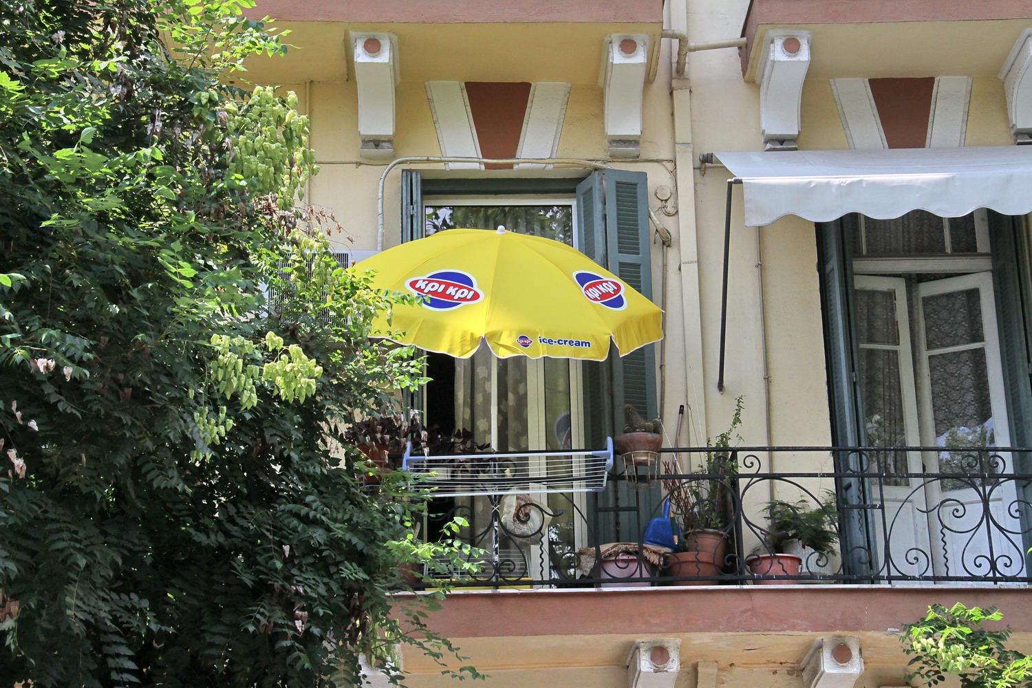 img_3730.jpg img_3730.jpg