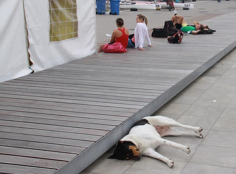 img_3748_resize.jpg img_3748_resize.jpg