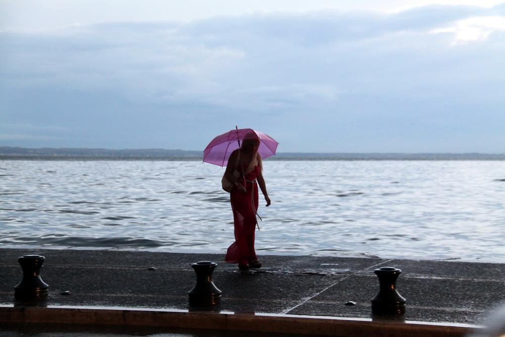 img_5262.jpg img_5262.jpg