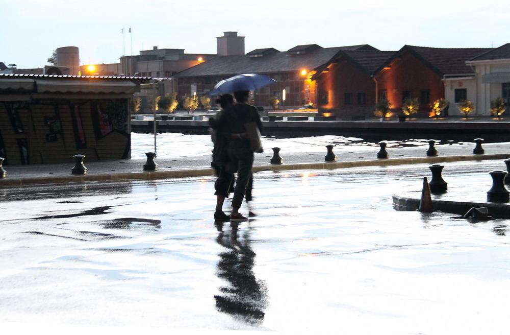 img_5269.jpg img_5269.jpg