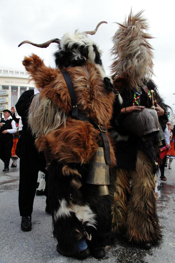 img_7404.jpg img_7404.jpg