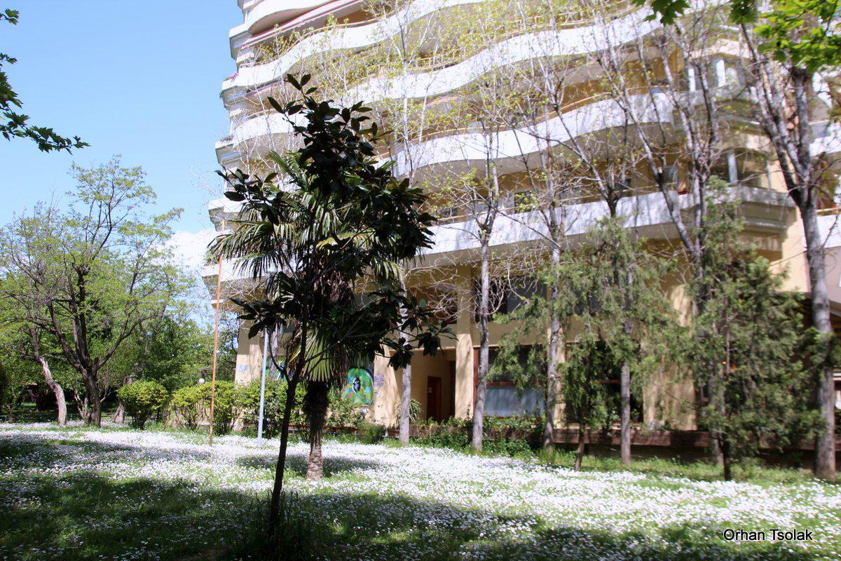 img_9537.jpg img_9537.jpg