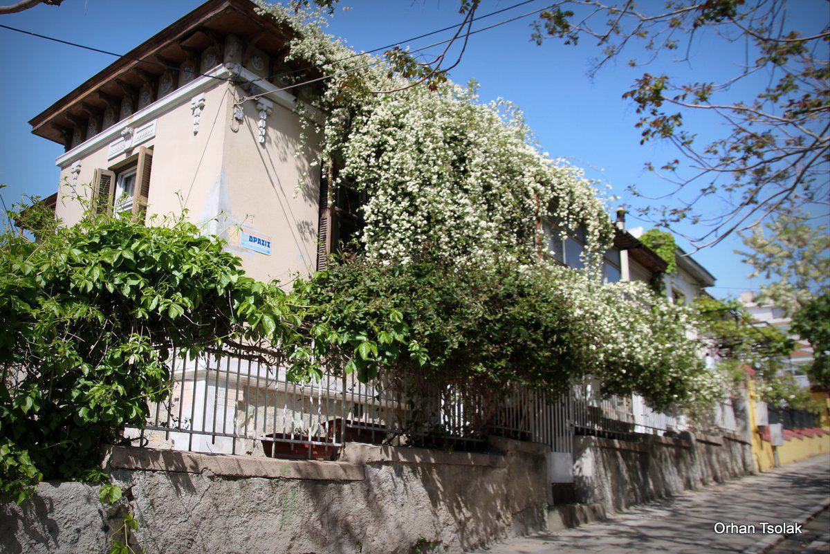 img_95730.jpg img_95730.jpg