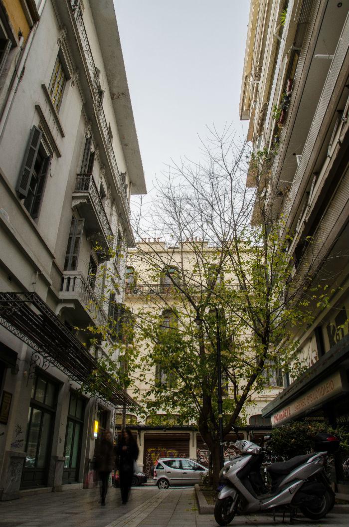 katheta_6.jpg katheta_6.jpg