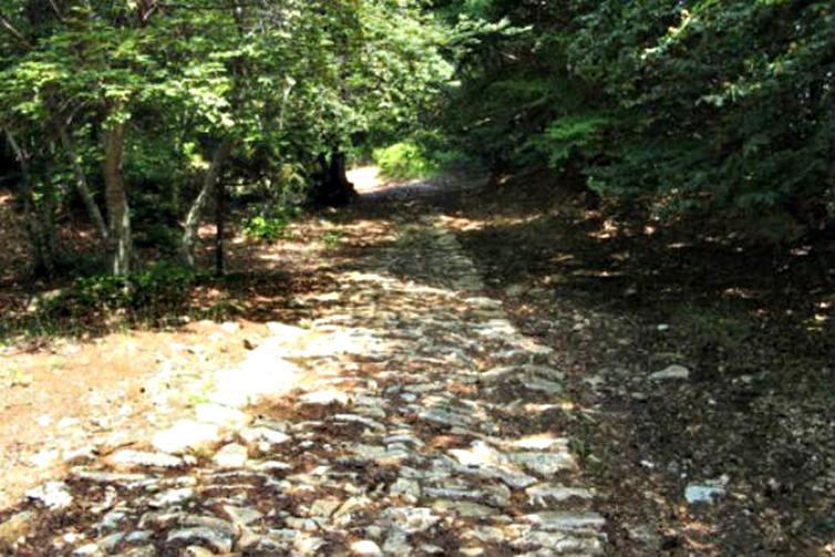 monopati_pagopoion_0_0