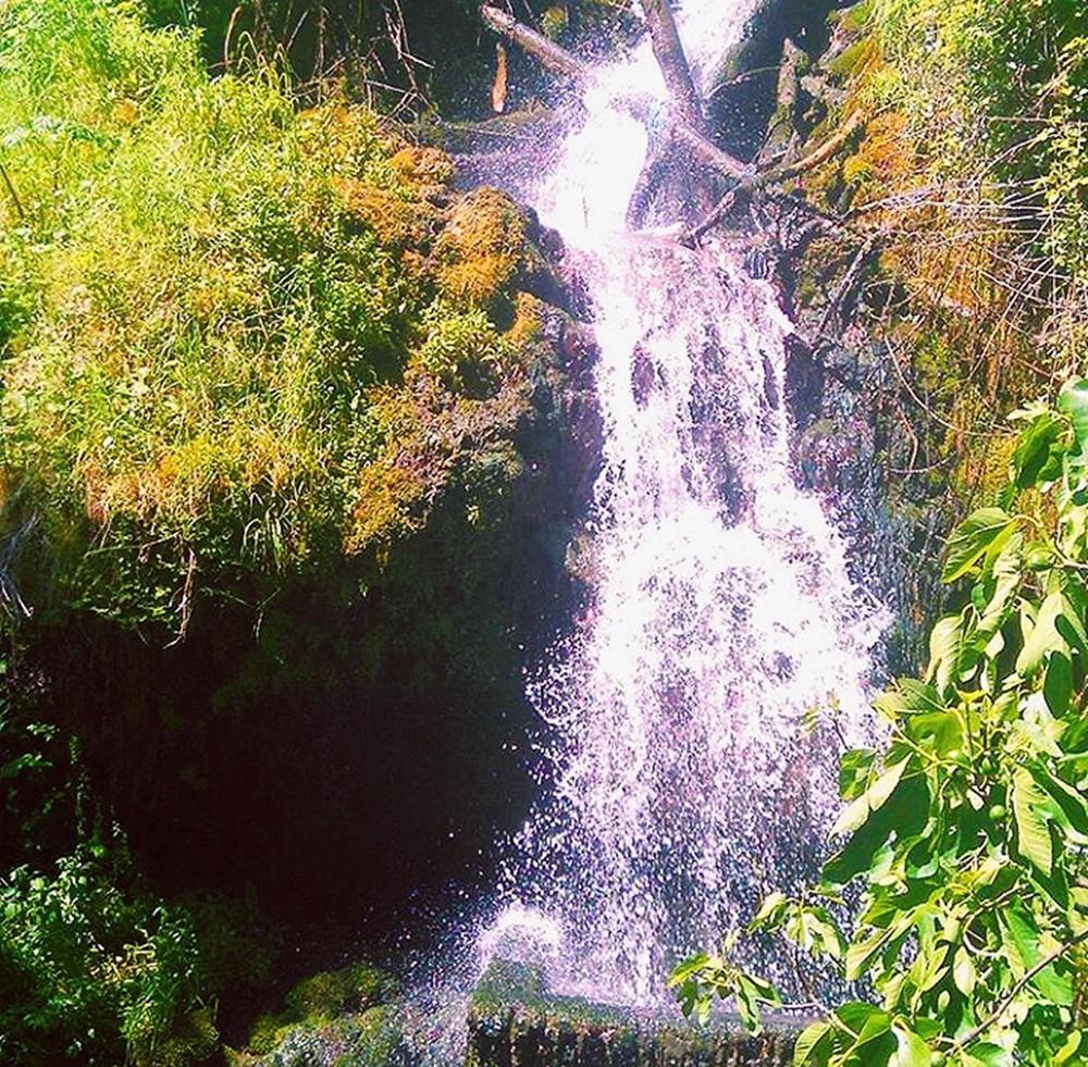 Processed with VSCO with c1 preset