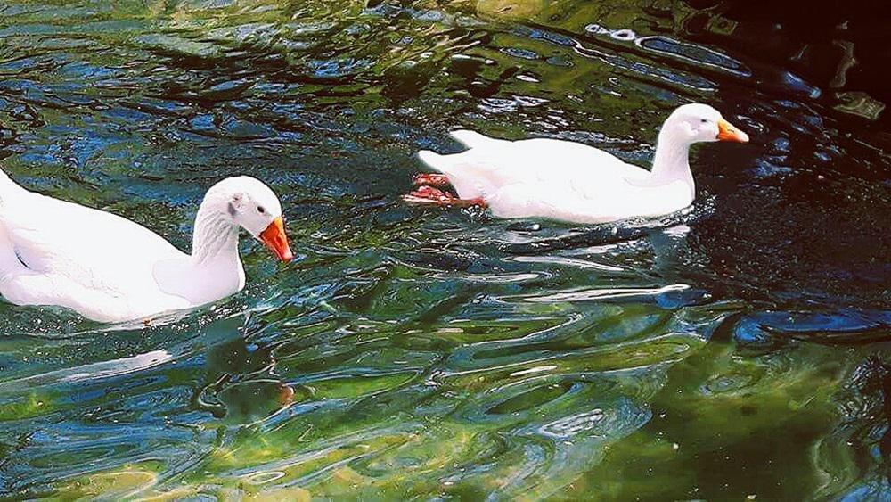 Processed with VSCO with c1 preset