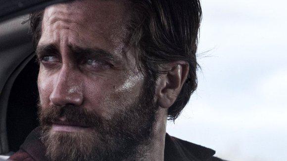 nocturnal-animals-20163544