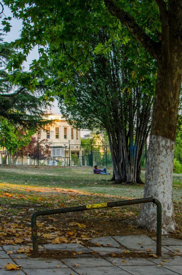 olg_0292.jpg olg_0292.jpg